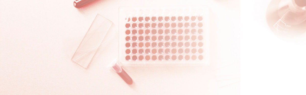 What Is Hemoglobin?