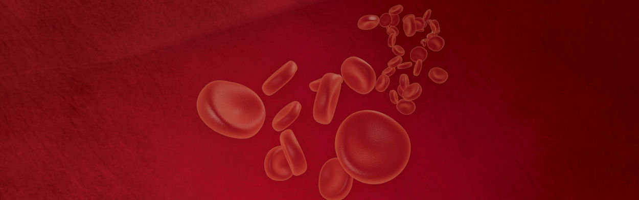 O Negative Blood Type