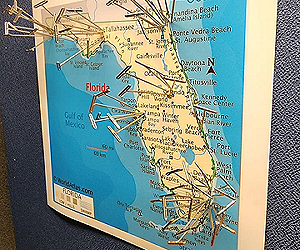 Map of florida with pins in cities corresponding to locations where platelet donations have been sent. My oneblood journey program tells donors where their donations go. 