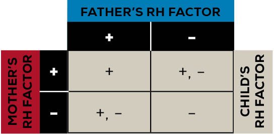 rh factor blood type chart 