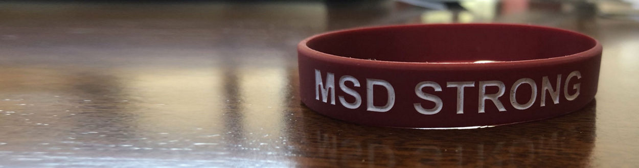 Bracelet that says msd strong