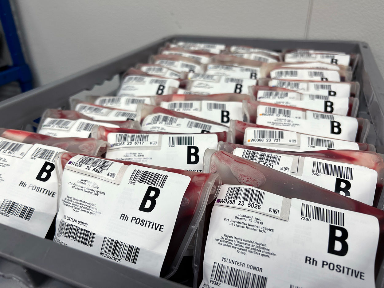 Image of multiple blood donation bags in a tray.