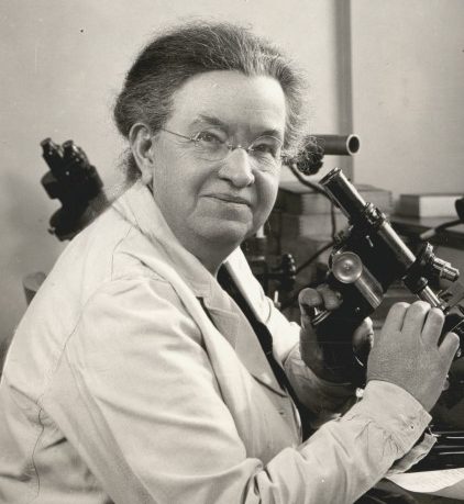 Dr. Florence Rena Sabin (1871-1953) sitting with a microscope in her lab