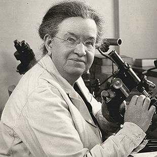 Dr. Florence Rena Sabin (1871-1953) sitting with a microscope in her lab