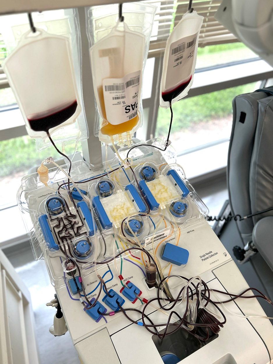 Can I Donate Blood? | Donation Requirements