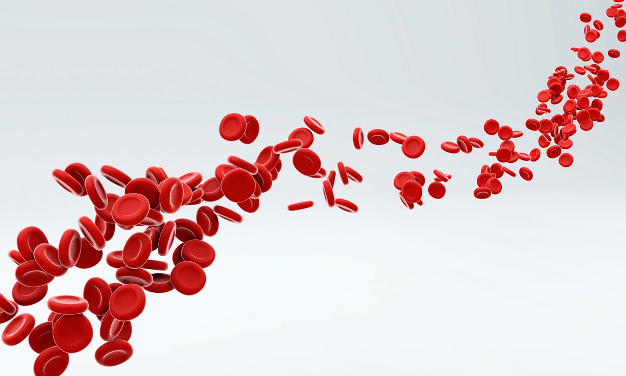 Red blood cells flowing through artery over grey background. 3D illustration.